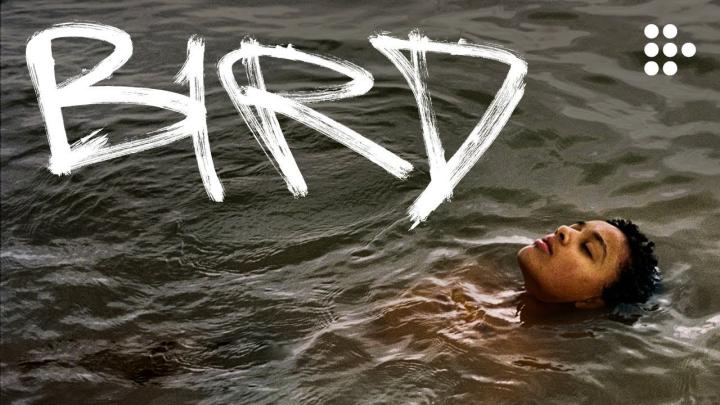 مشاهدة فيلم Bird 2024 مترجم