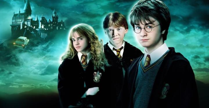 فيلم Harry Potter and the Chamber of Secrets 2002 مترجم
