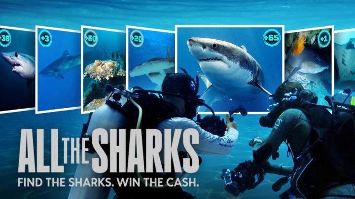 مسلسل All the Sharks الموسم الاول الحلقة 6 والاخيرة